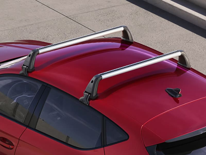 SEAT Leon (FL) dakdragers