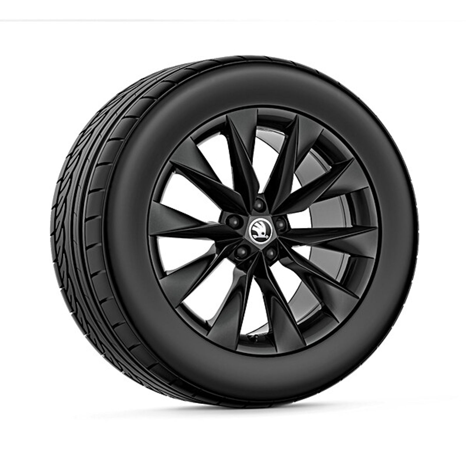 Škoda Crystal 19" inch met winterbanden (breedset)