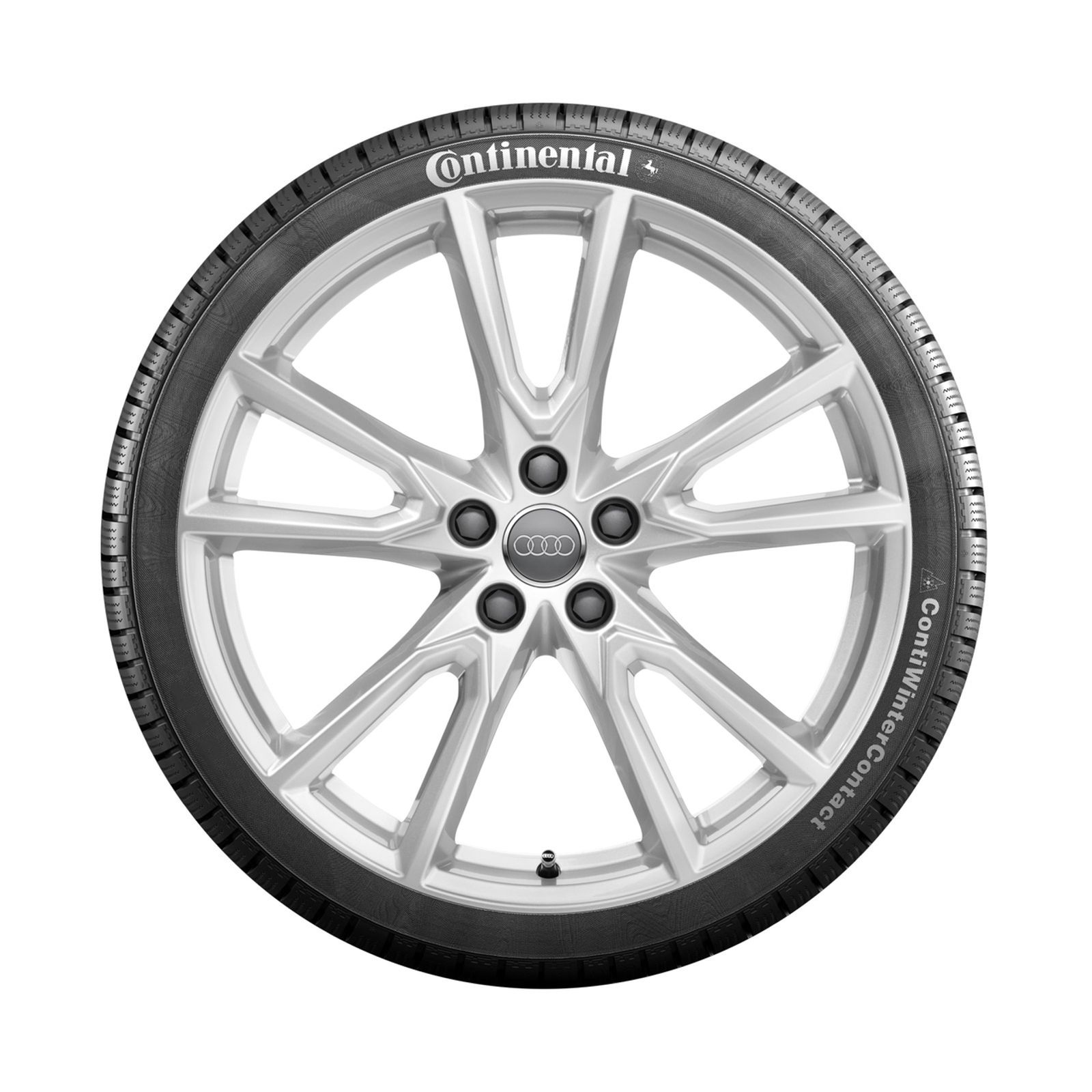 Audi Q5 (20 inch) winterset